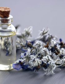 What You Need to Know About Using Essential Oils for ADHD What You Need to Know About Using Essential Oils for ADHD